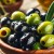 Siyah Zeytin ve Yeşil Zeytin Arasındaki Farklar